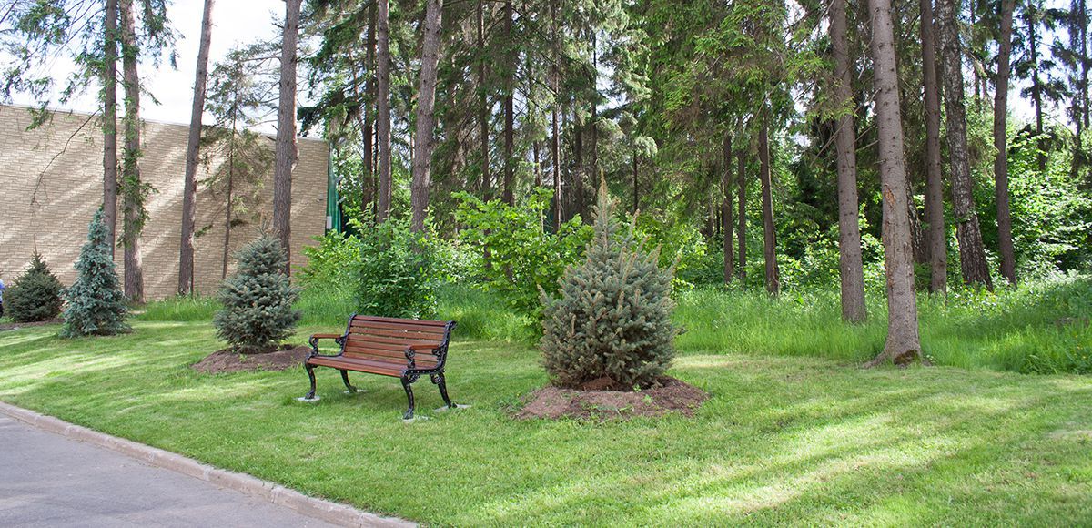 Лавочка в зоне отдыха поселка Елочка
