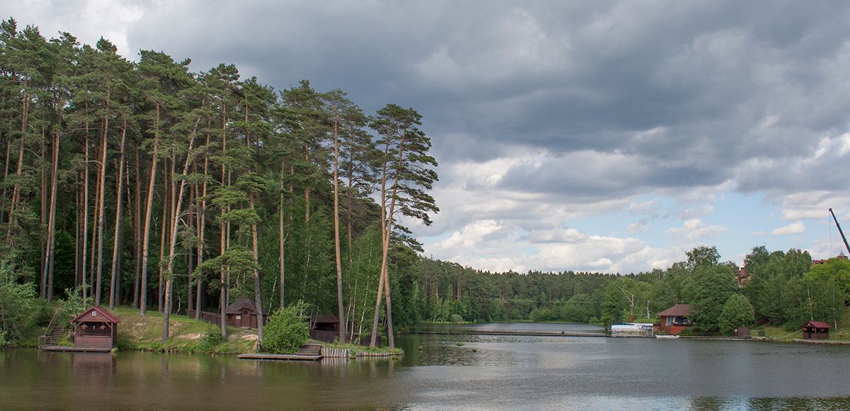 Озеро и сосны, поселок Елочка