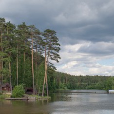 Озеро и сосны, поселок Елочка